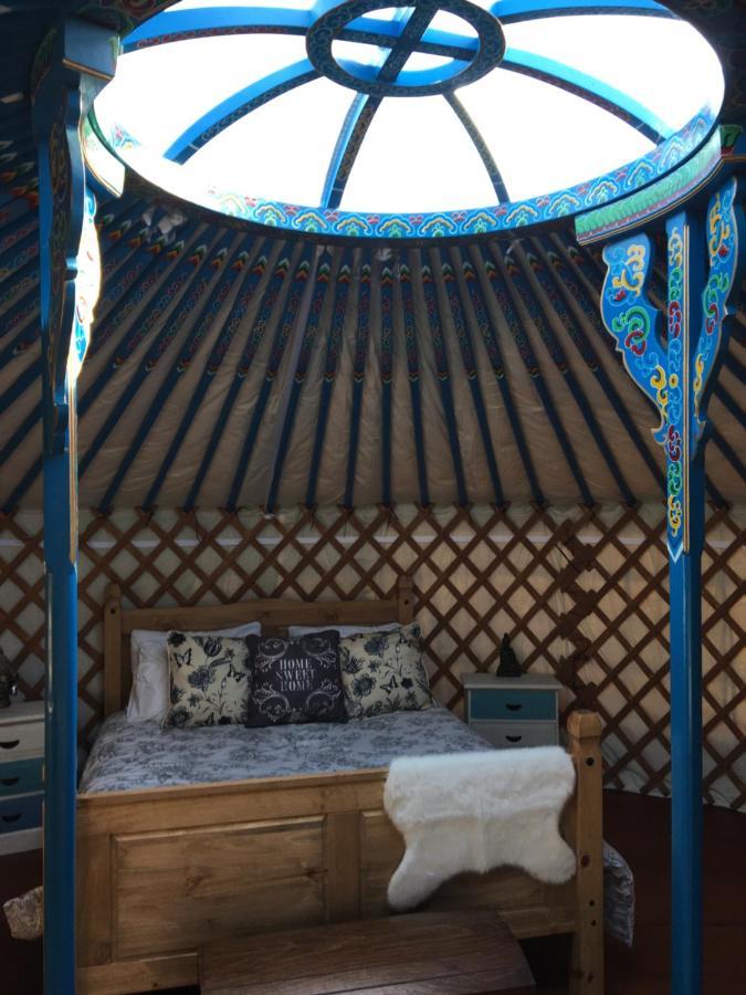 ホテル French Fields Luxury Glamping Original Mongolian Yurt Le-Vieux-Cerier エクステリア 写真