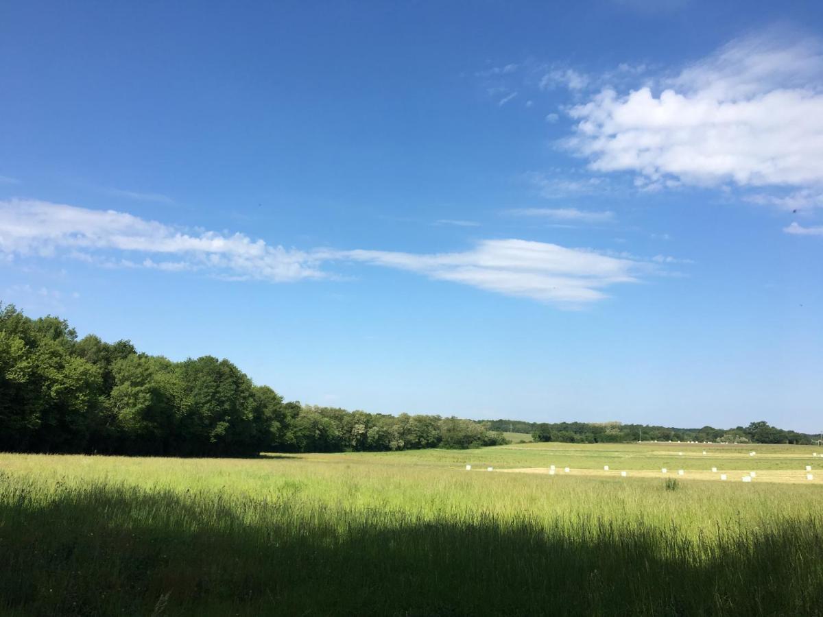 ホテル French Fields Luxury Glamping Original Mongolian Yurt Le-Vieux-Cerier エクステリア 写真